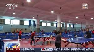 贝博体育 中学乒乓球台数量